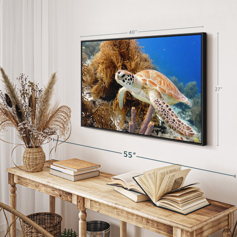 Turtle Reef Canvas Print, 27" H x 40" W