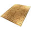 Arak Wool Oriental Area Rug