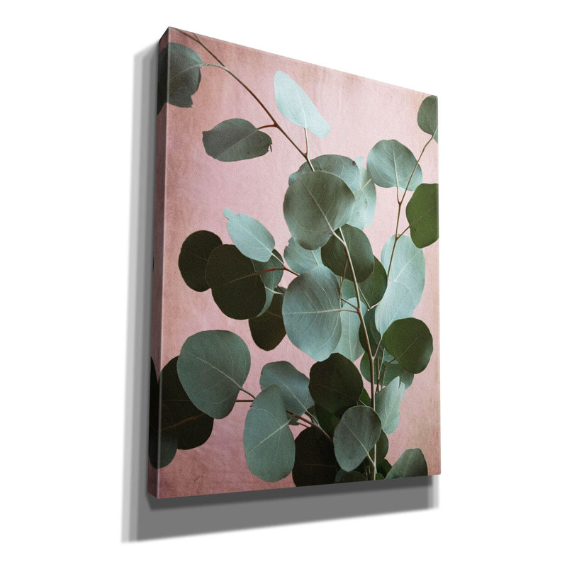 «Ashraff Sage Eucalyptus No. 1» par Lupen Grainne, H 16 po x l 12 po x P 0,75 po
