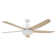 Adelpho 158cm Ceiling Fan with Light Kit