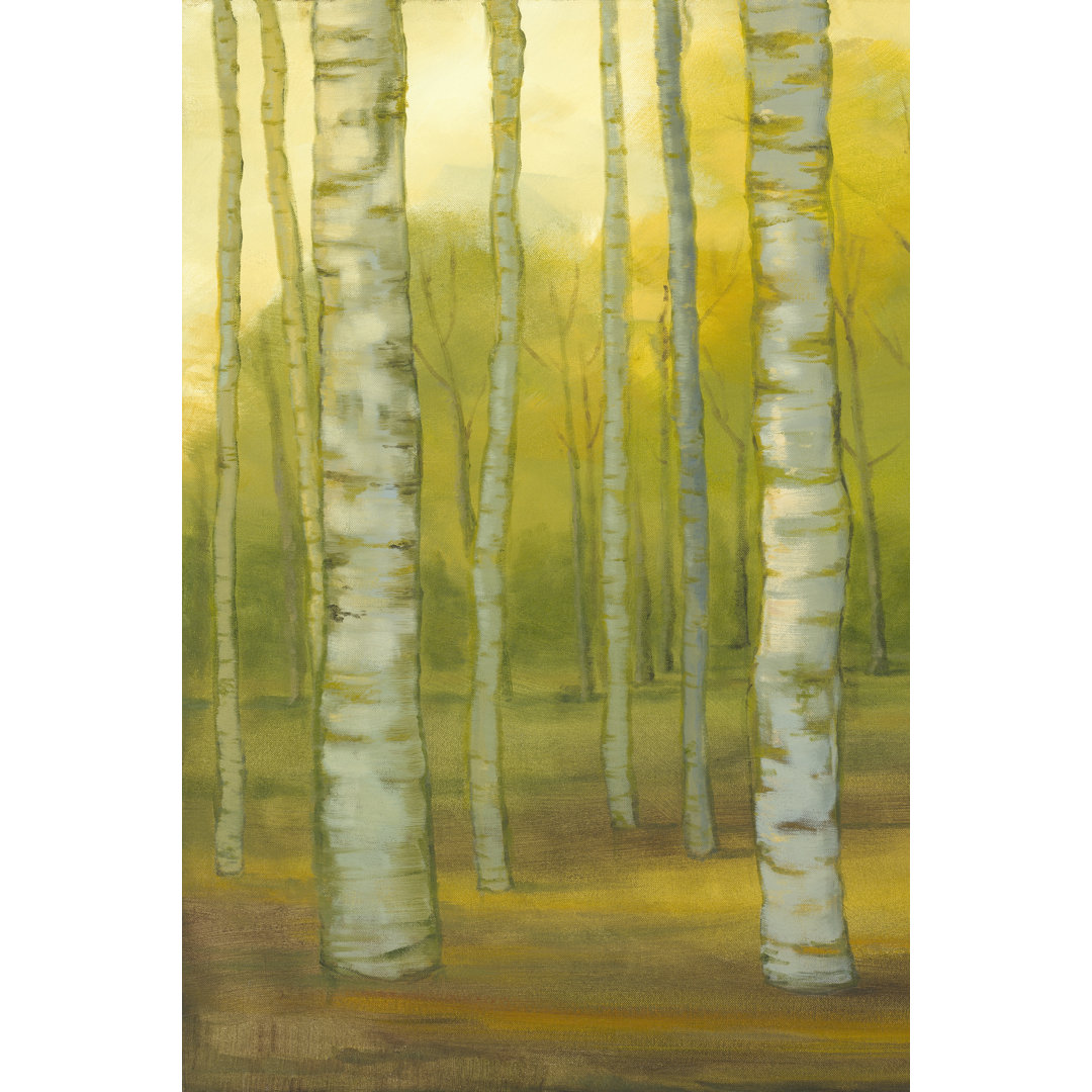 Leinwandbild Sunny Birch Grove I