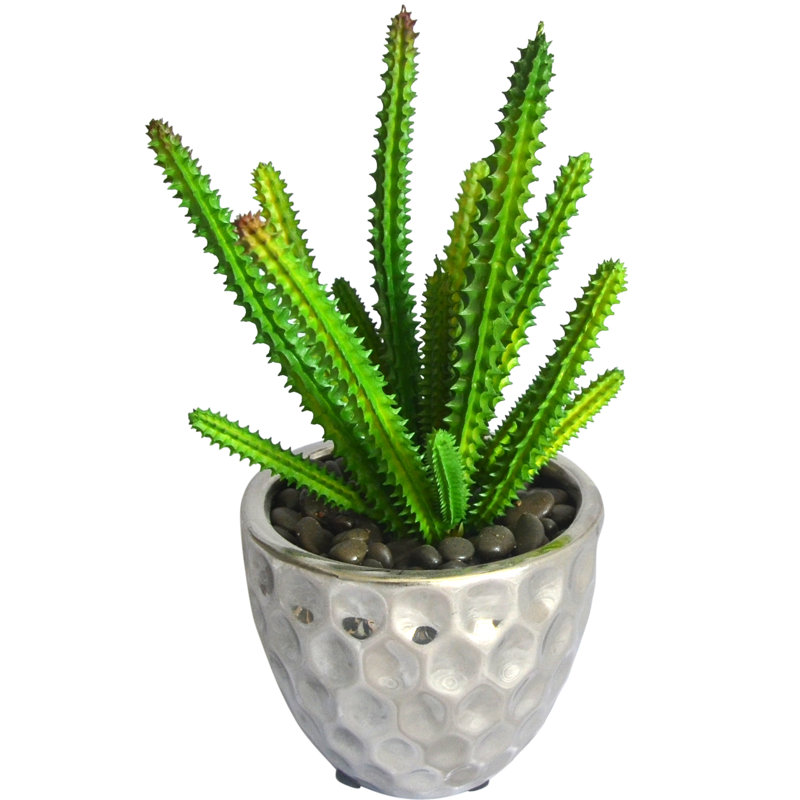 4.72'' Faux Succulent Plant in Ceramic Pot