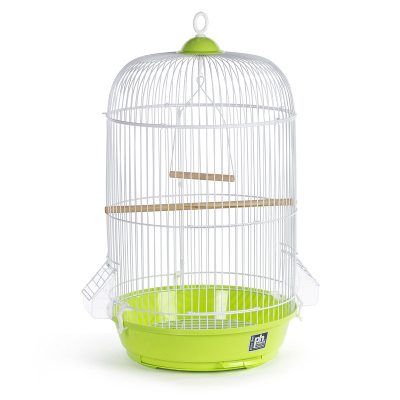 Ciani 26'' Plastic Dome Top Hanging Bird Cage with Perch, Green