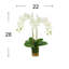 Arrangement floral orchidée dans un vase avec de la mousse et des roches
