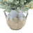 Eucalyptus Arranged in Decorative Ceramic Vase