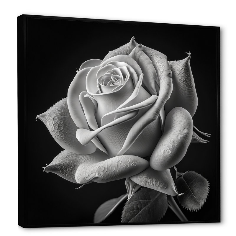«Blossoming White Rose On Black I» - décoration murale rose, H 36 po x l 36 po x P 1,5 po, Cadre flottant noir