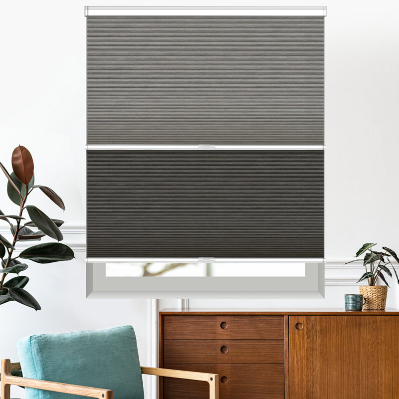 Chainless Day and Night Cellular Shade, L 41 po x L 48 po, Gris anthracite