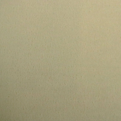 Dresden Fabric
