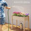 Planter-259805402