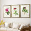 PrettyPinkBotanicalsI - Impression sur mesure encadrée de qualité supérieure - 3 pièces-276996937-276996939