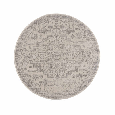 Cobien Traditional Performance Gray Area Rug