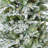 White Frosted 9' Pre-Lit Spruce Christmas Tree