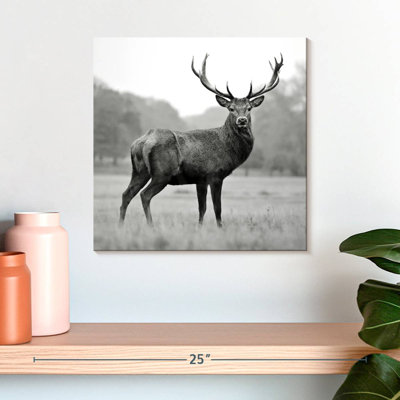 Bramer fier fier cerf BW