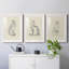 House Cat I - ensemble de 3 reproductions de cadres photo-1915094752-1915094753