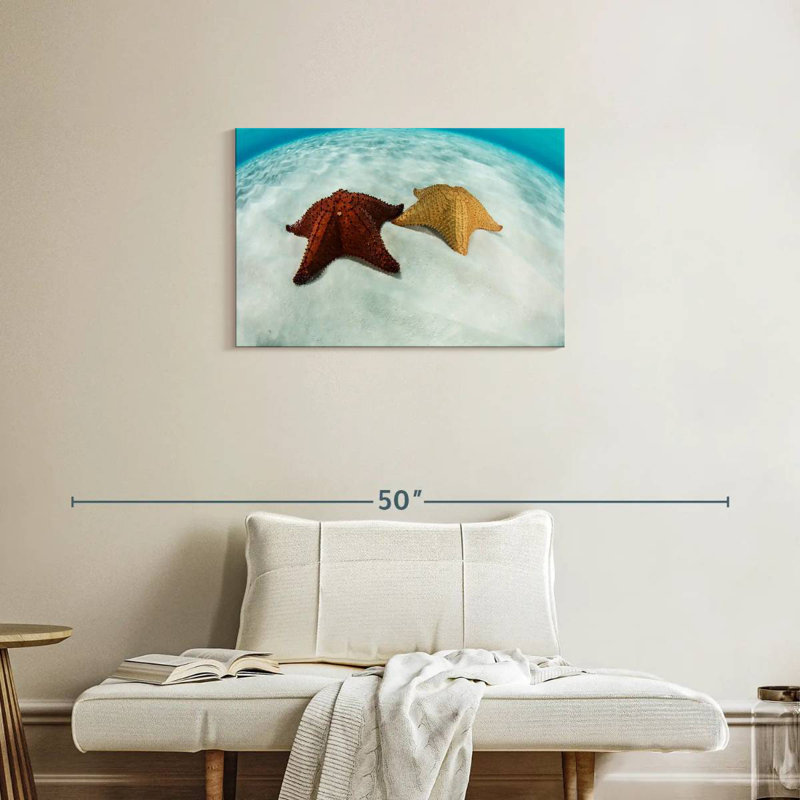 Brampt Caribbean Starfish, 20" H x 30" W