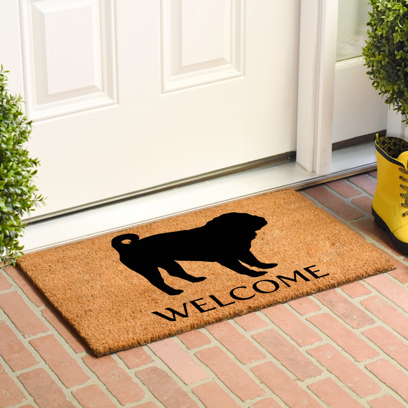 Tapis de porte d’extérieur antidérapant carlin Bailley, L 0,6 po x l 36 po x P 24 po