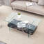 Table basse robuste à double couche-586258811