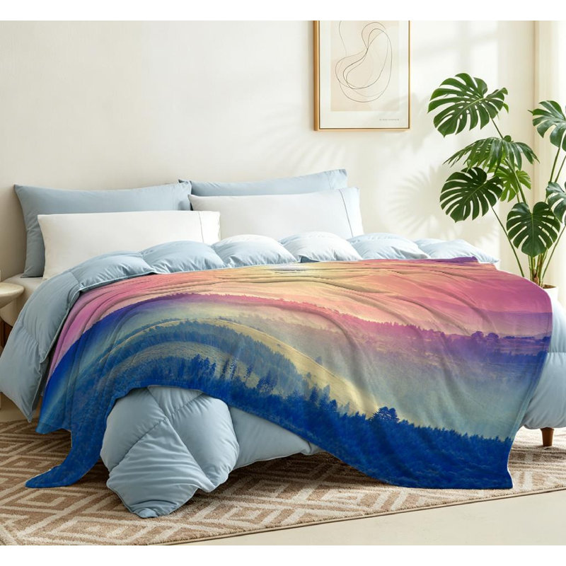 Jeté transparent en flanelle de polaire ultra douce, impression d'un côté ensoleillée fantastique, Jeté 50 po x 60 po