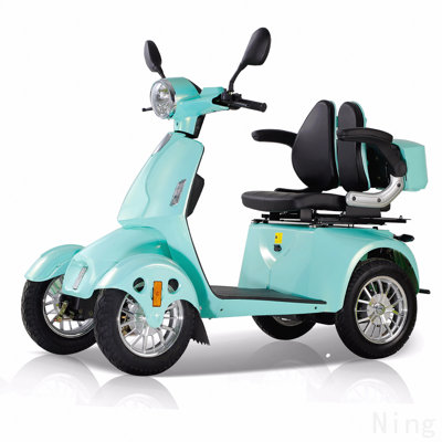 Scooters de mobilité pour personnes âgées 800w Chariot de mobilité tout terrain électrique