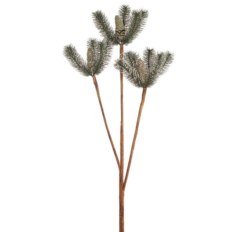 Arrangement