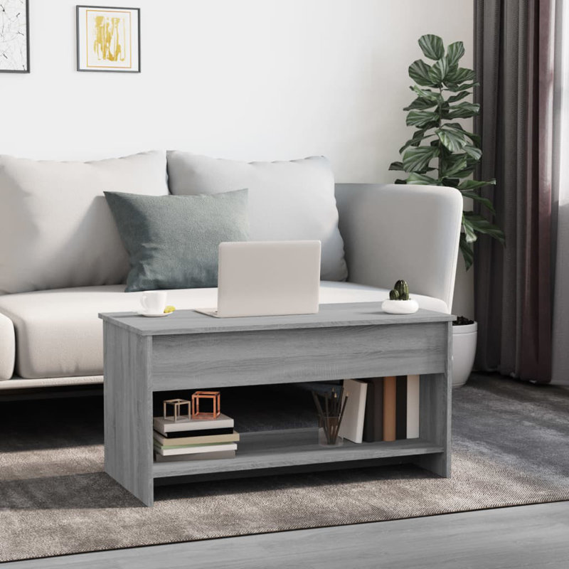 Jarosłav Frame Coffee Table with Storage, Grey