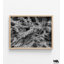 «Driftwood» par Aaron Matheson, art mural de bord de mer en noir et blanc, décor auberge de bord de mer, décor de photographie inspiré de la plage