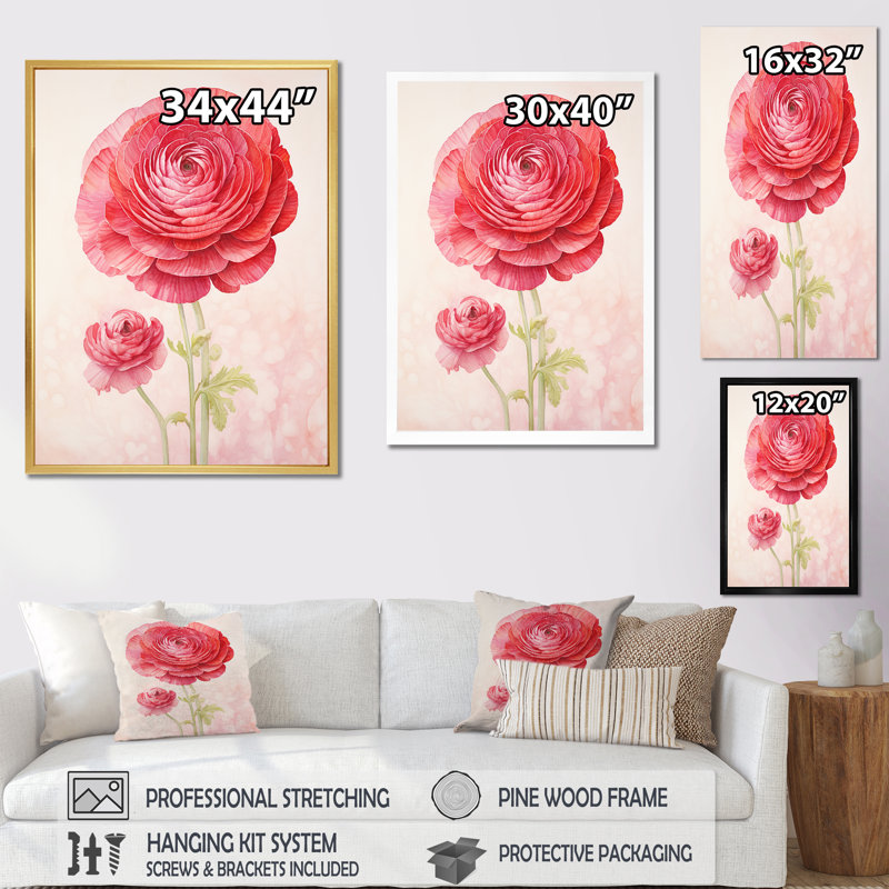 «Ranunculus Dreams I», art mural rétro sur toile, Cadre photo blanc, H 32 po x l 16 po x P 1 po