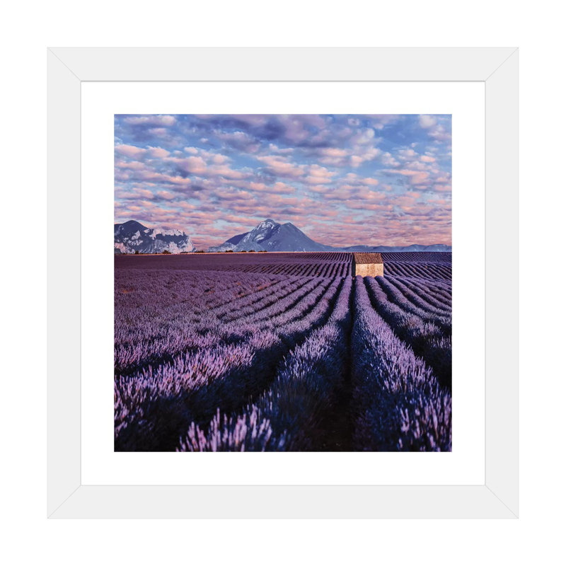 « Lavander clouds » par Hobopeeba-reproduction d’art, H 24 po x l 24 po x p 1 po, Papier encadré blanc, Blanc
