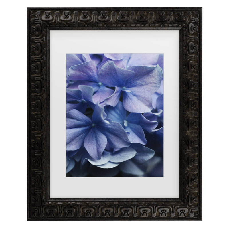 Encadré bolognais, bolognaise, lilas, hortensia, encadré, H 19,5 po x l 23,5 po, Encadrement gris foncé