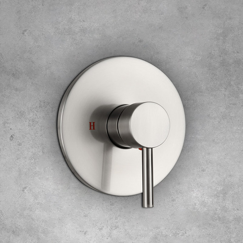 Topcraft 10-Inch Round Wall-Mounted Rain Shower System, Brushed Nickel