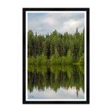 Tree Reflection Print by Tim Klein