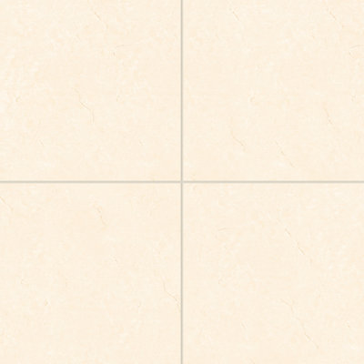 Carrelage mural en porcelaine 24 po x 24 po Shandar