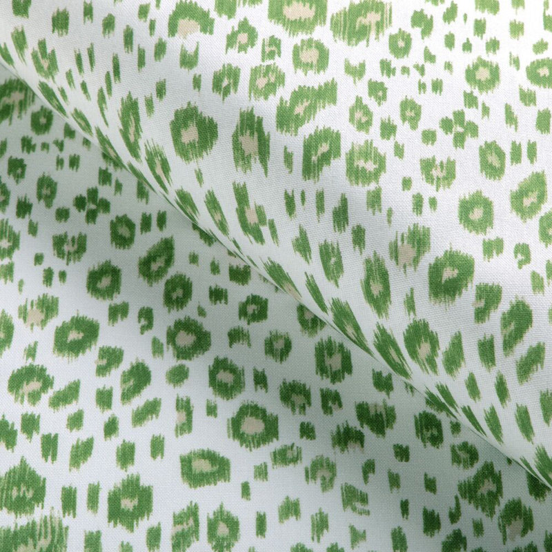 Leopardos, Aloe