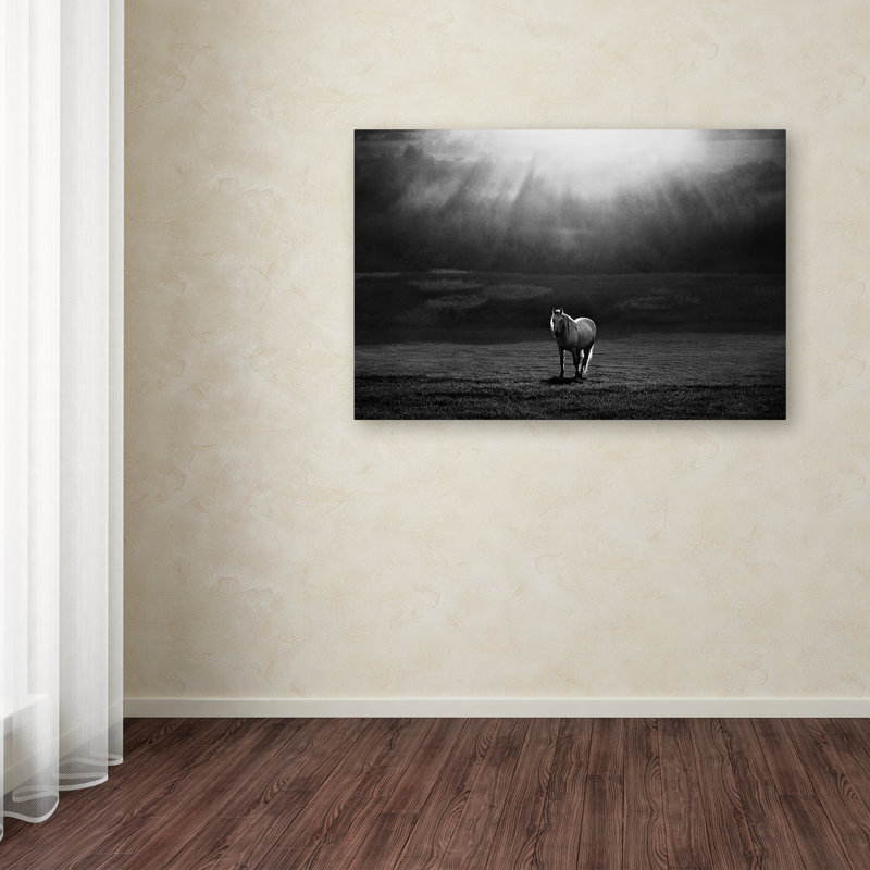 Art mural sur toile tendue - "Peter Apparence" par Peter Svoboda pour décoration de salon, de chambre à coucher ou de bureau - 22 x 32