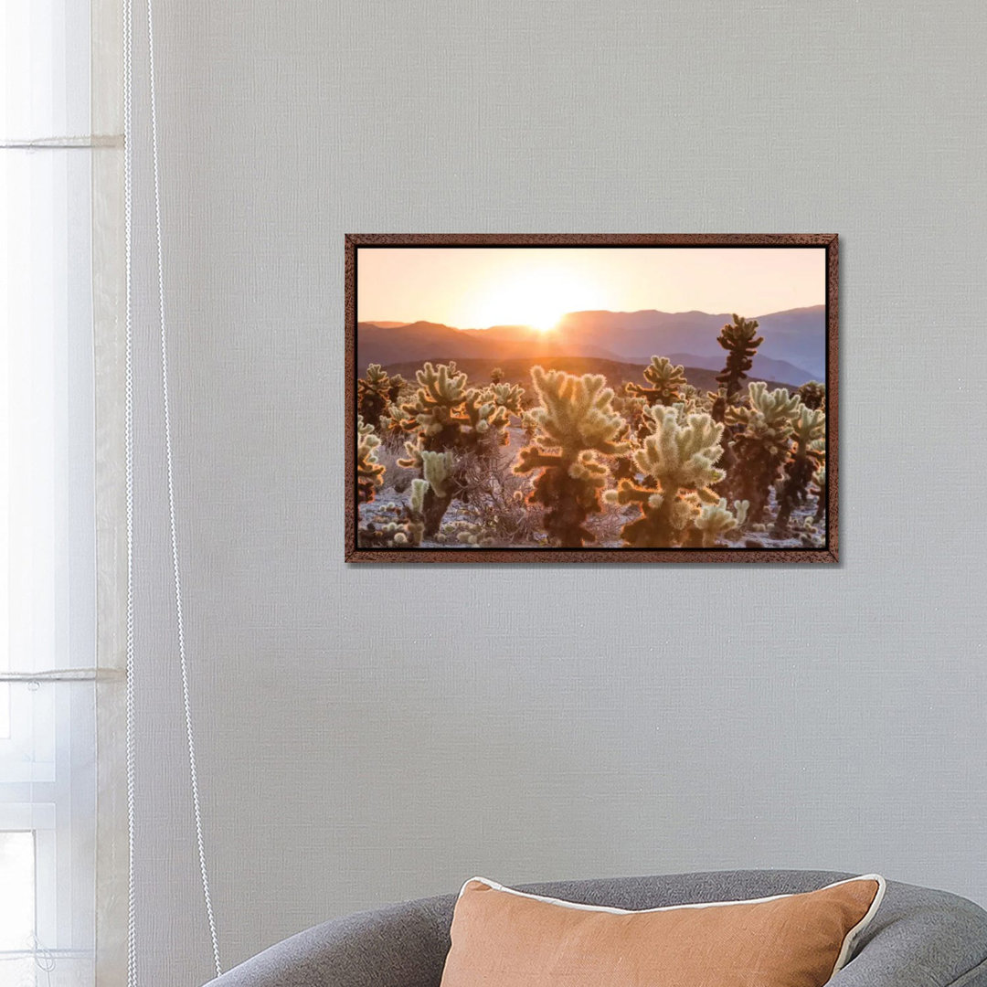 Leinwandbild Cactus Garden, Joshua Tree National Park, California, USA