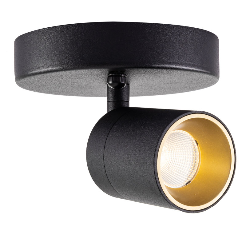  Projecteur à DEL 1 lumière à intensité variable, Noir mat, Noir mat