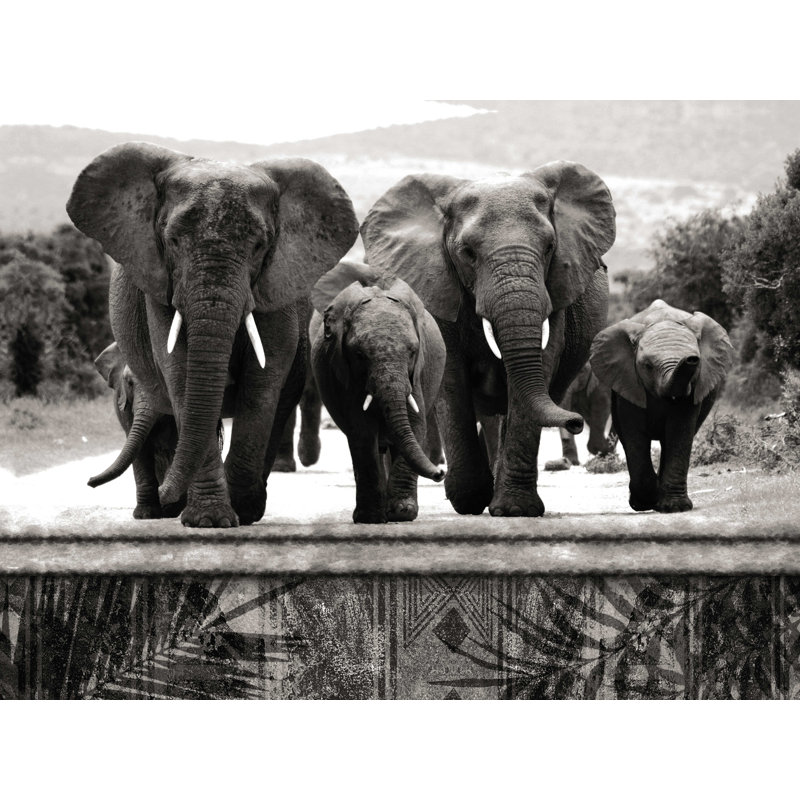 " Black And White Elephants ", 12" H x 16" W