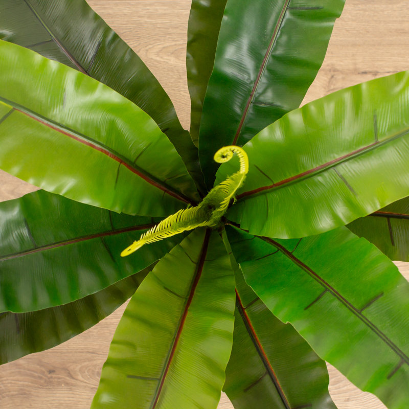 70cm Faux Real Touch Birds Nest Fern