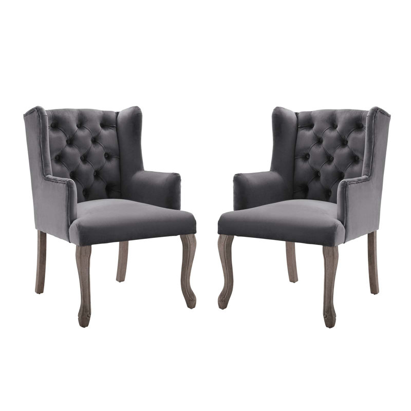 Realm Armchair Performance Velvet Set Of 2 In Grey