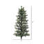 Douglas Fir Wall Tree-966140981