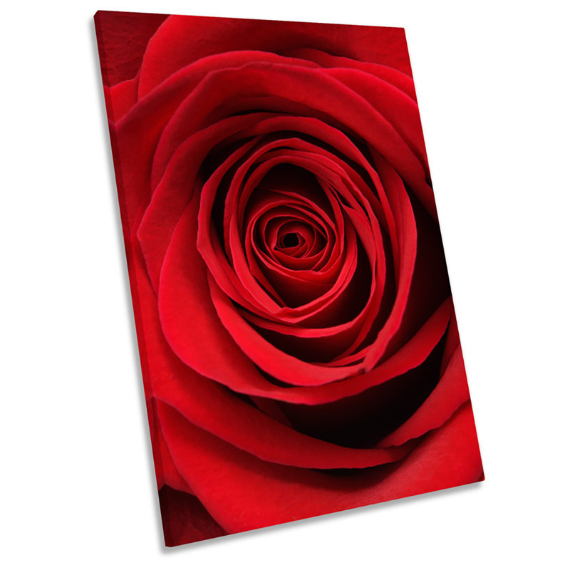 Red Flower Rose Floral - Wrapped Canvas Print, 45.7cm H x 30.5cm W