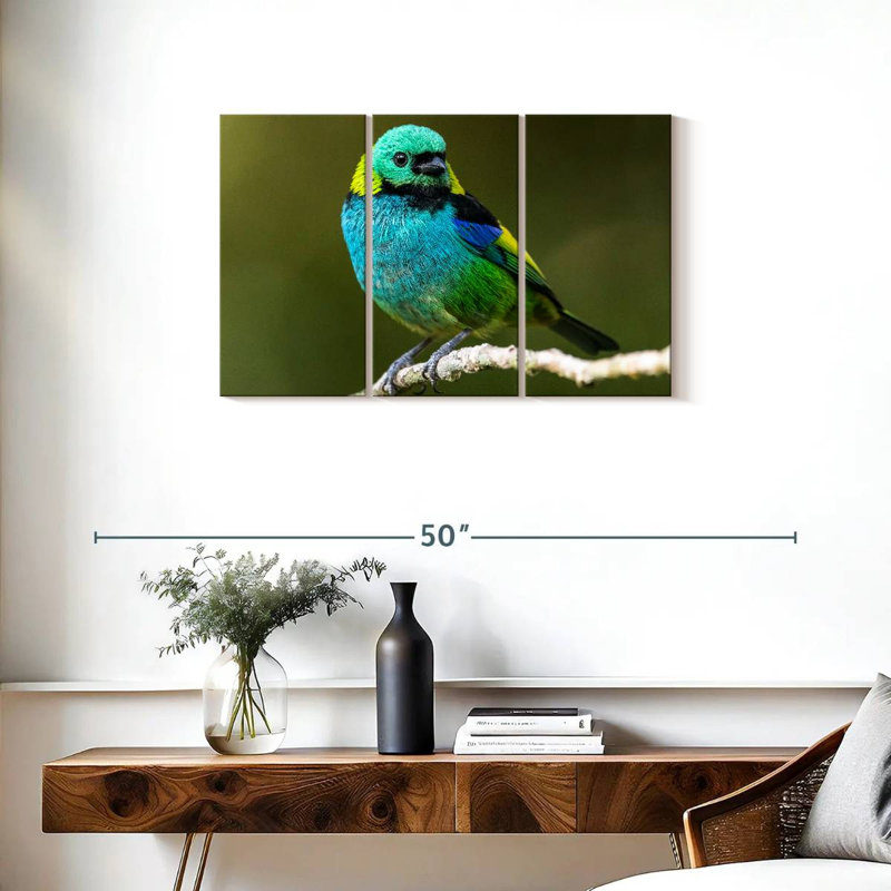 Brampt Green Headed Tanager, 20" H x 33" W