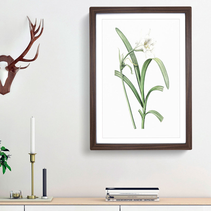 Peruvian Daffodil Flower by Pierre-Joseph Redoute - Picture Frame Painting Print, Walnut Framed, 48cm H x 36cm W x 2cm D