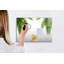 Magnetic Memo Board Whiteboard - 60 x 40 cm - Includes Marker and Magnets - Palm nature leaves