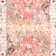 Tapis oriental rouge tissé à plat à la main Joppatowne