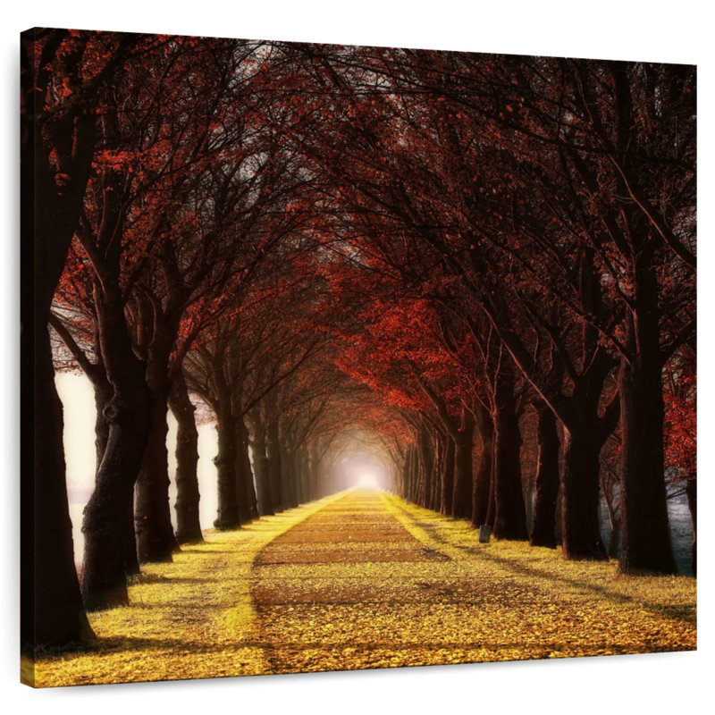 Alvord Wonder Curve I, 39" H x 39" W