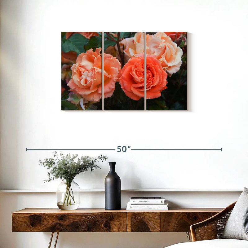 Roses hybrides orange Harnek, H 20 po x l 33 po