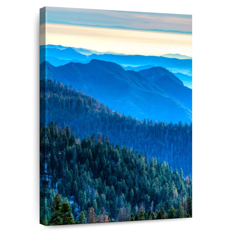 Alvord Sequoia National Park Blue Hour, 30" H x 20" W