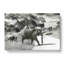 Mother & Baby Elephant Strolling - Wrapped Canvas-56633513