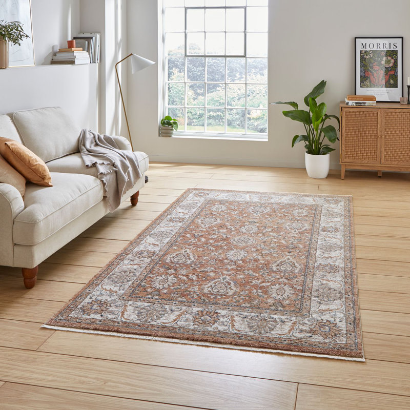 Auderghem area rug Machine Woven Terracotta, Rectangle 160cm x 230cm